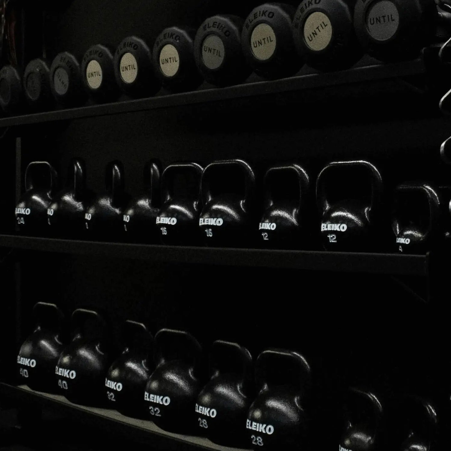 Kettlebell Training Set