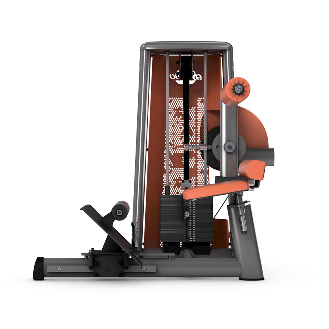 ABDOMINAL AND BACK COMBO
