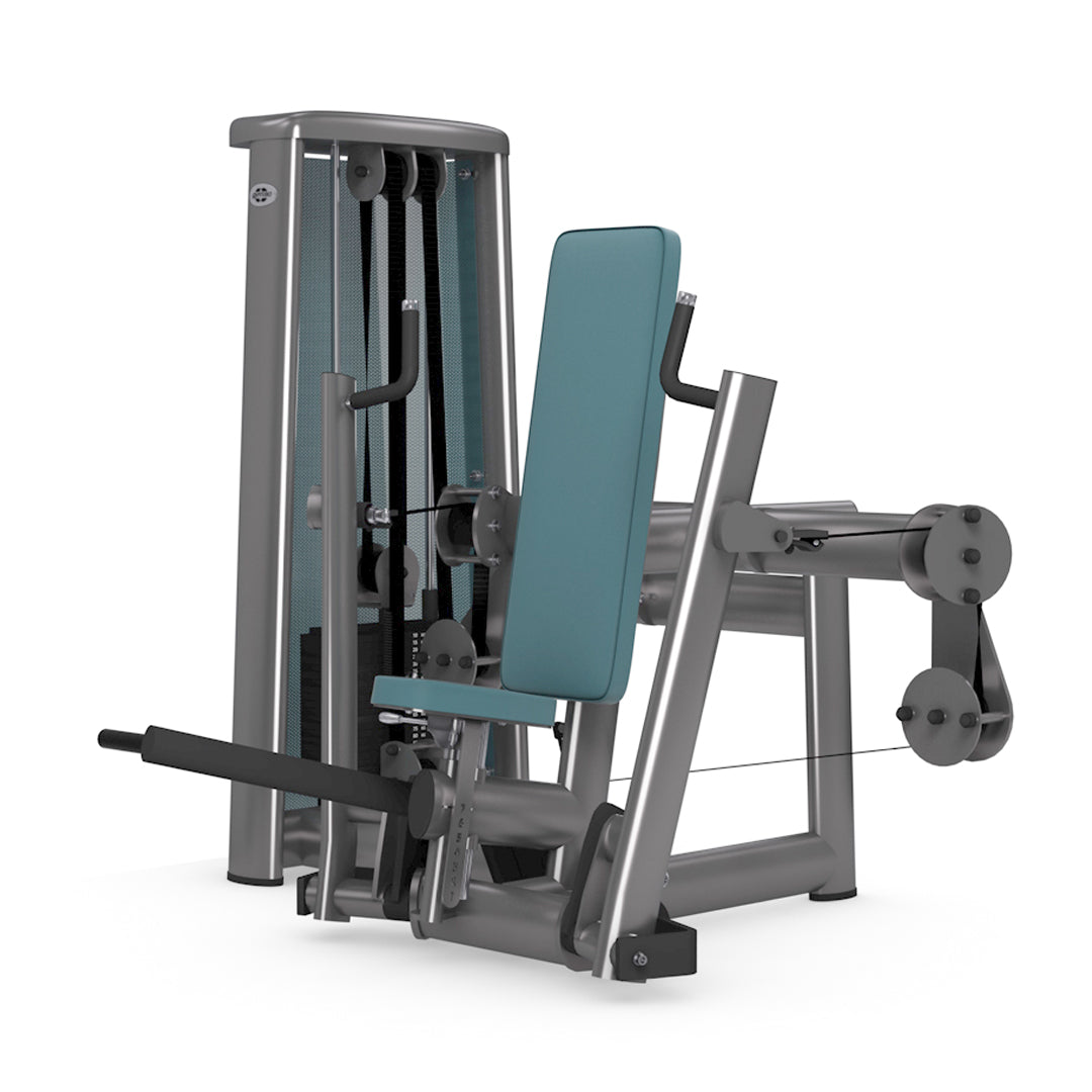 Dual Chest Press