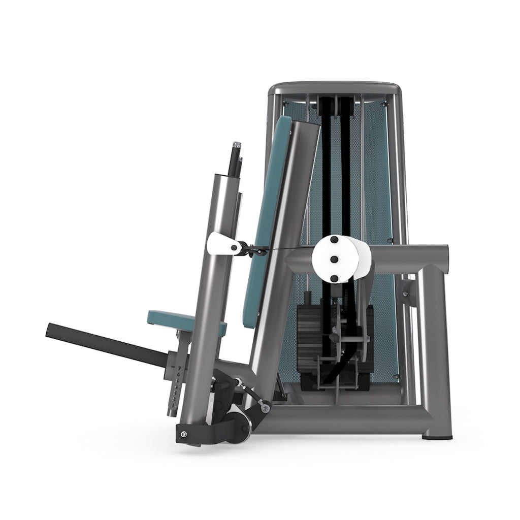Dual Chest Press