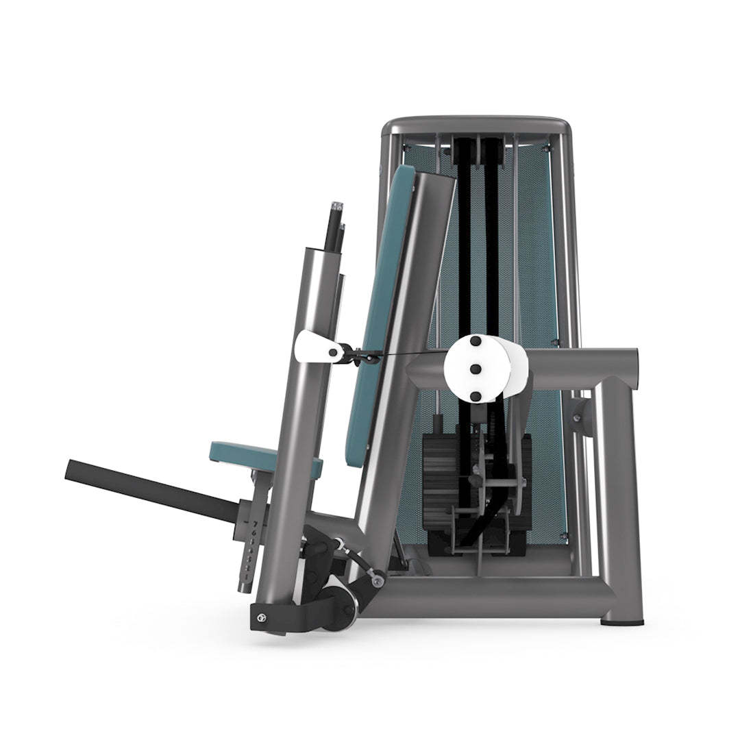 Dual Chest Press