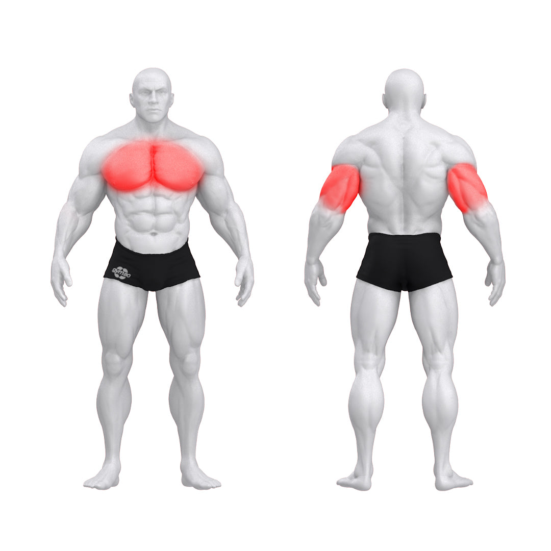 Dual Chest Press