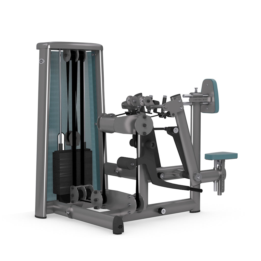 Dual Seated Row
