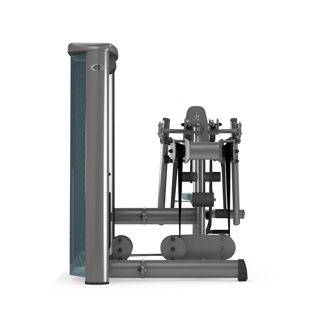 Dual Seated Row