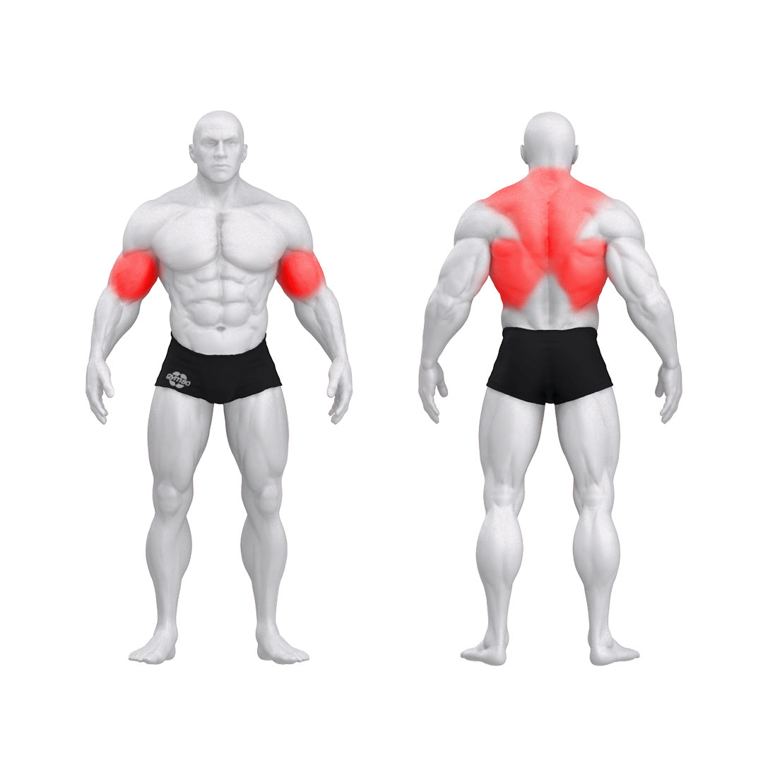 Dual Seated Row