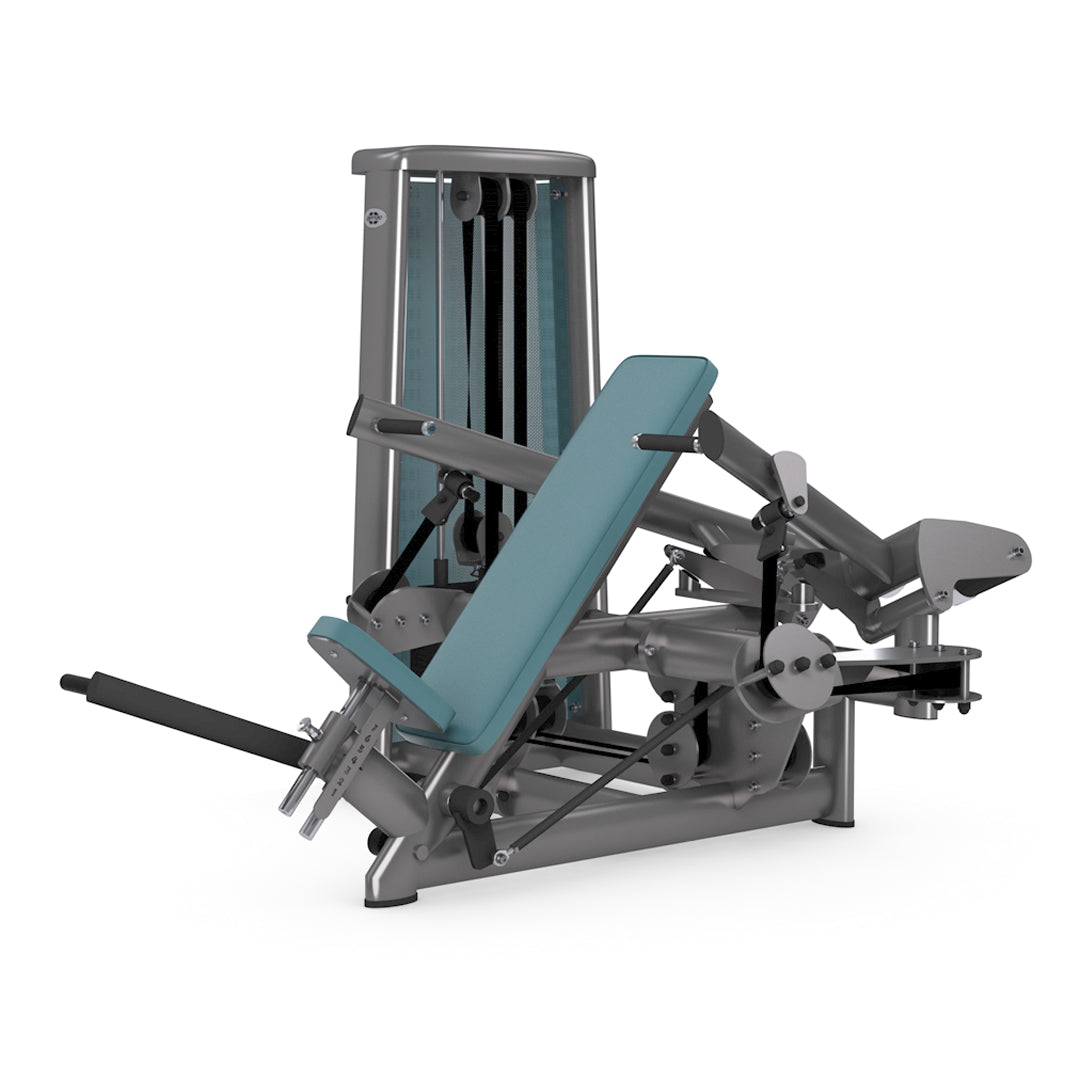 Dual Shoulder Press