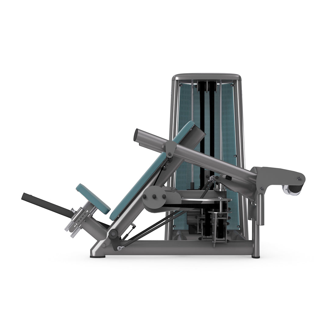 Dual Shoulder Press