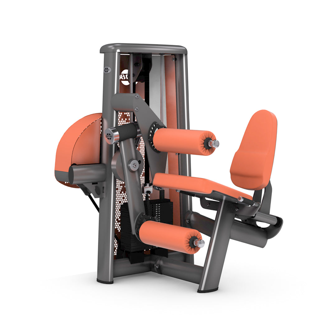 LEG CURL AND LEG EXTENSION COMBO