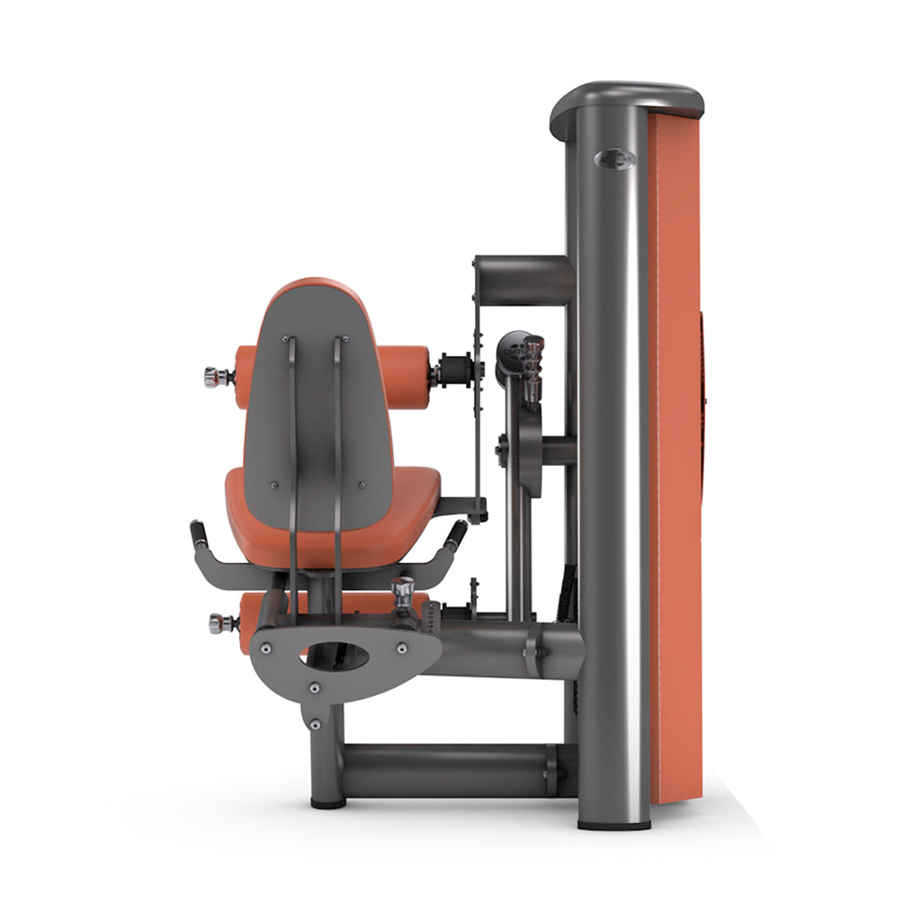 LEG CURL AND LEG EXTENSION COMBO