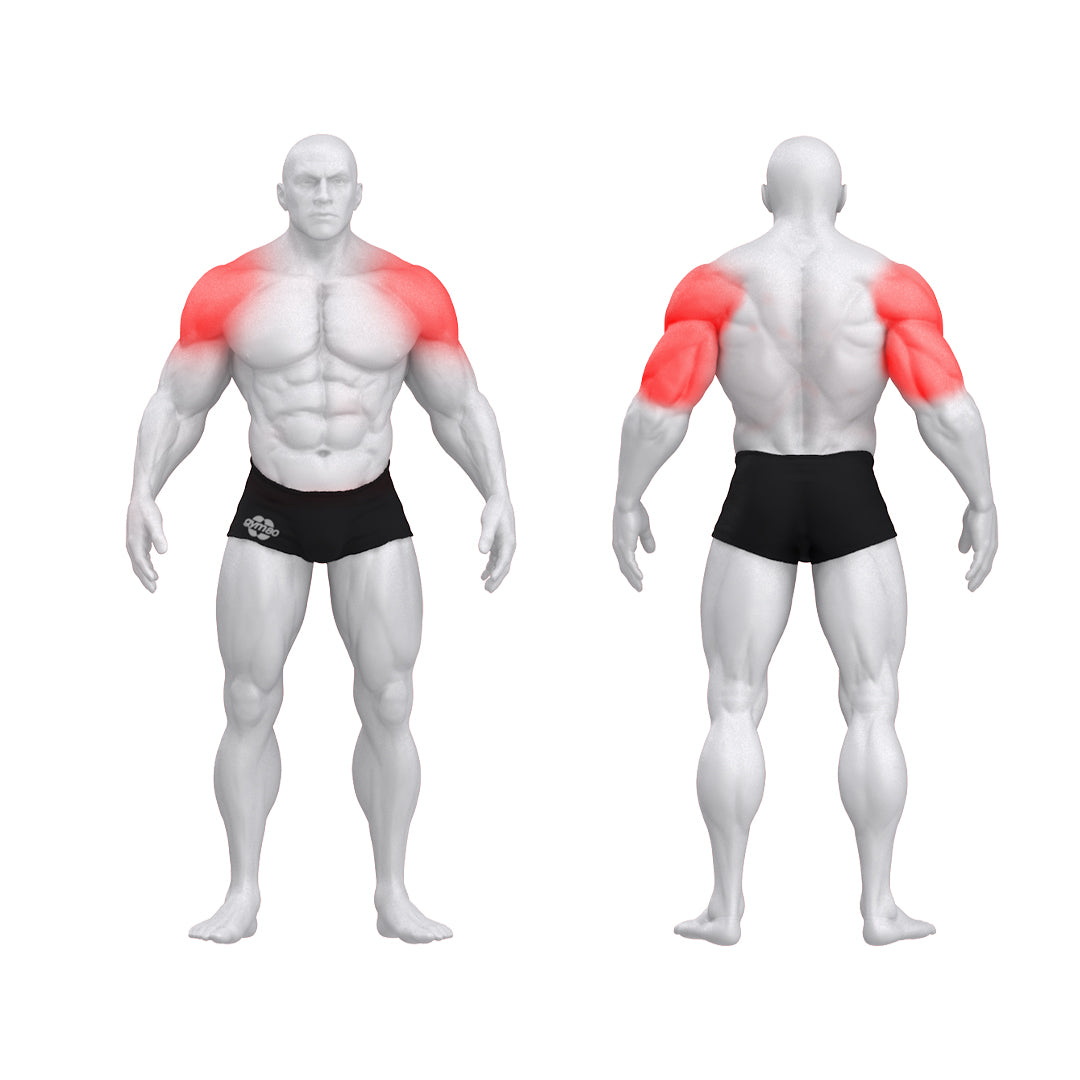 Pure Kraft Shoulder Press Dual